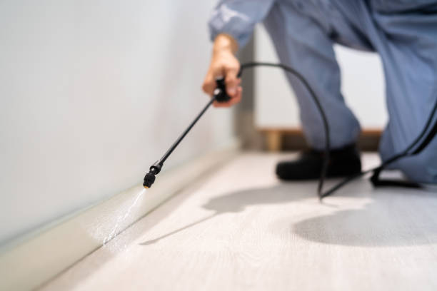 Licensed Pest Control service in Richmond Hill, GA - Show Me Pest Control