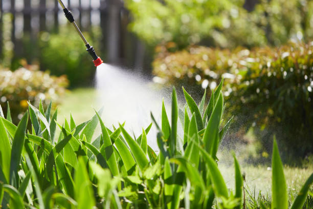 24/7 Emergency Mosquito Control experts in Richmond Hill, GA