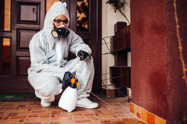 Reliable Mosquito Control contractor in Richmond Hill, GA by Show Me Pest Control