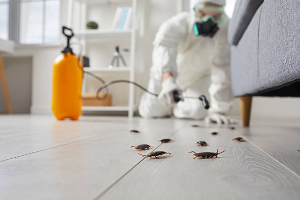 Affordable Mosquito Control solutions in Richmond Hill, GA