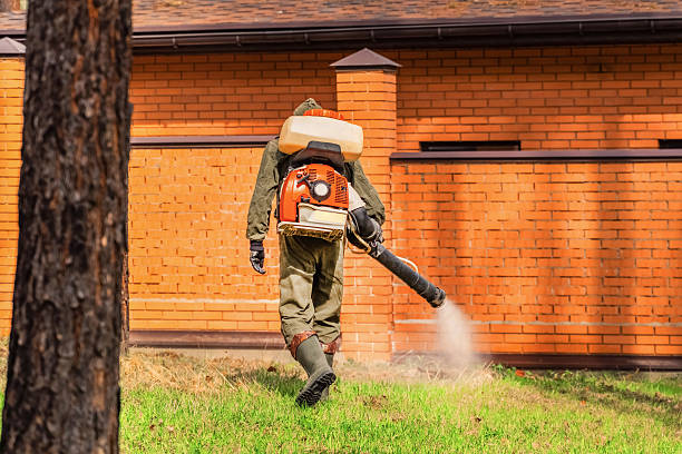 Top rated local Mosquito Control specialists in Richmond Hill, GA